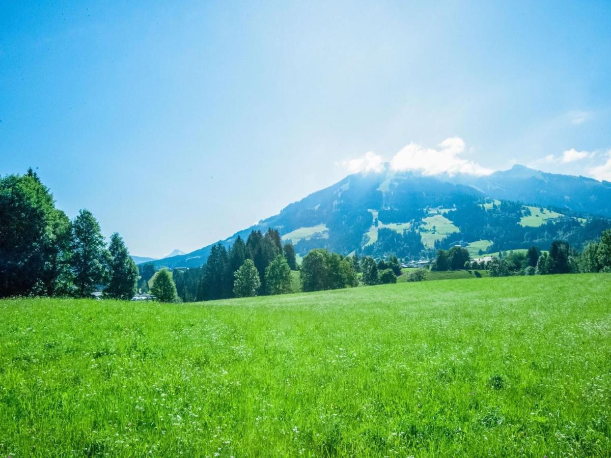 Cosy Flat In Westendorf In Tyrol Holzham エクステリア 写真